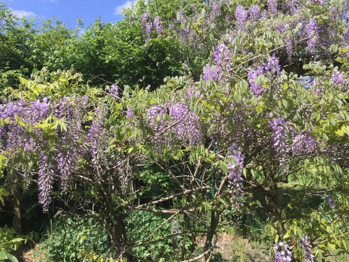 Touvois Gite Climatise De La Haute Rue المظهر الخارجي الصورة